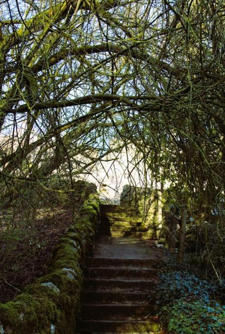 Gorgeous Cozy With A Heritage Feel, Walks, Pubs & Wood Burner Vakantiehuis *